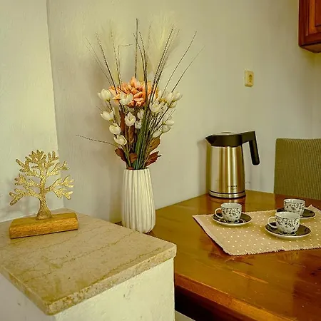 Katerina's *